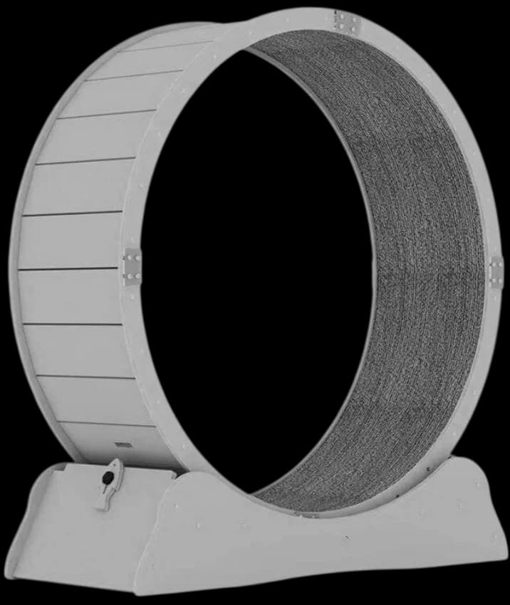 Cat Running Wheel