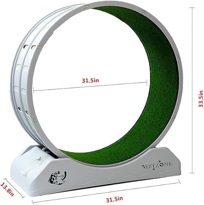 Cat Running Wheel - M 2