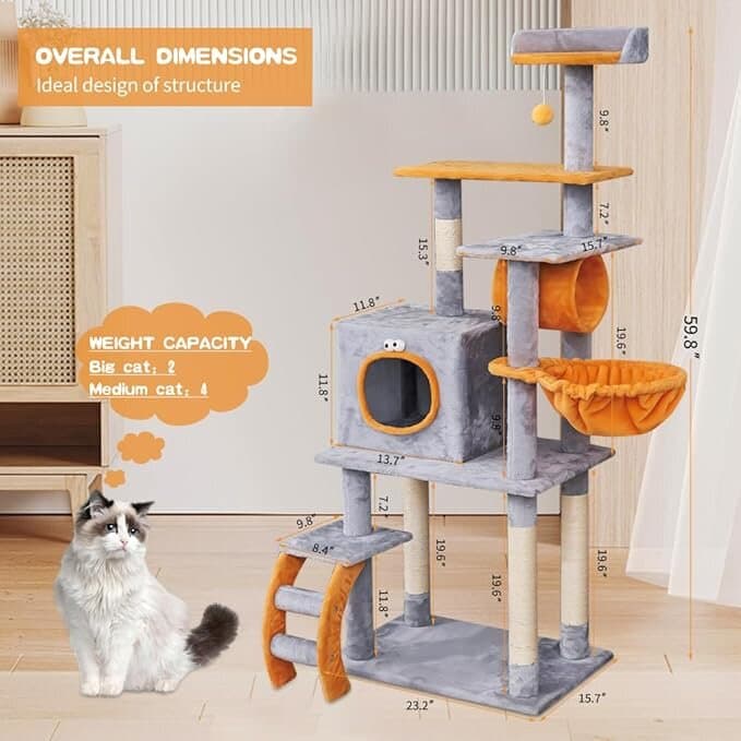 House & scratcher 6