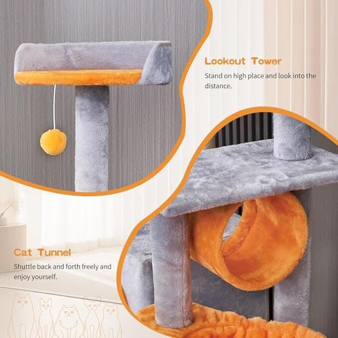 House & scratcher 9