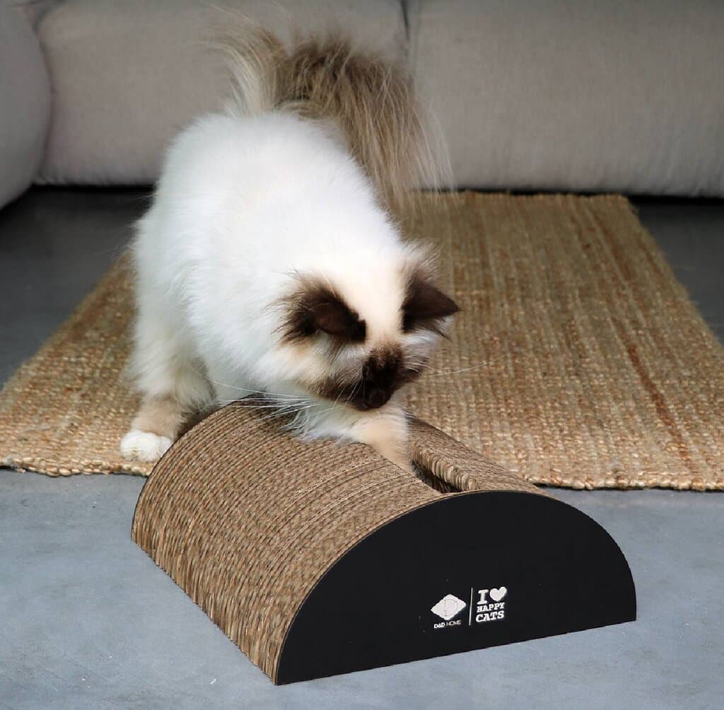 Cat Scratcher 5