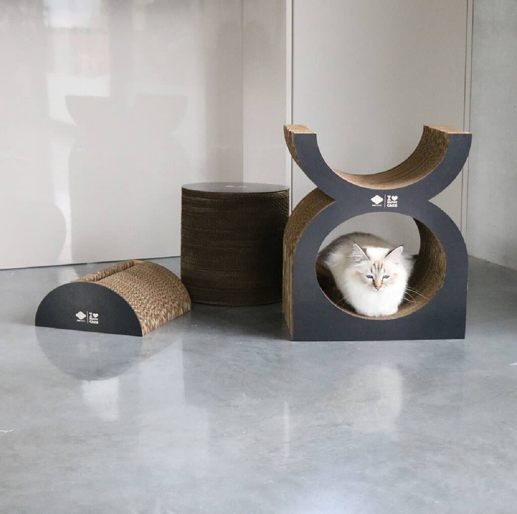 Cat Scratcher 6
