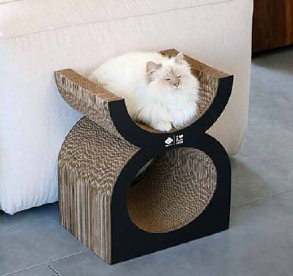 Cat Scratcher 7