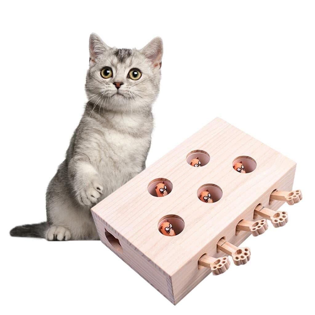 Cat Toy 2