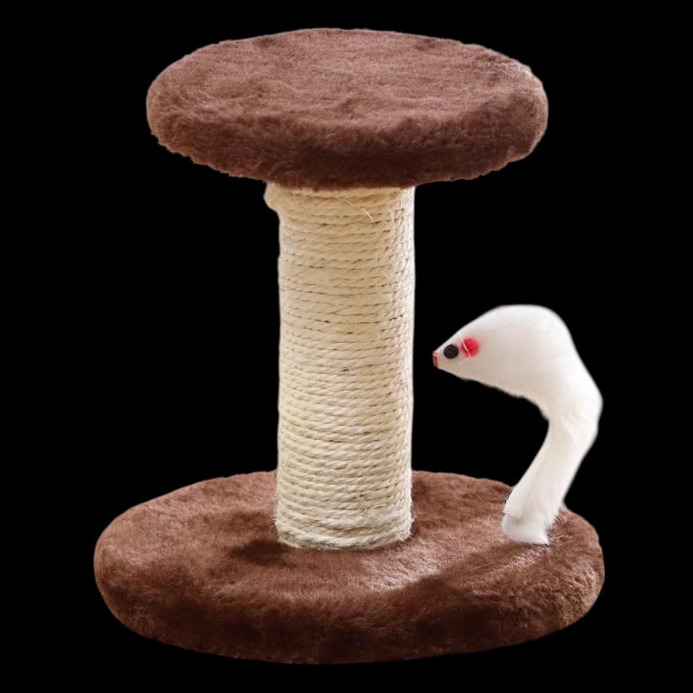 Hanging Ball and Mouse