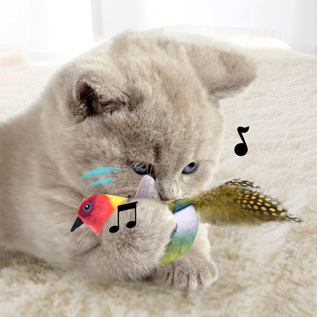 Cat Toy 4