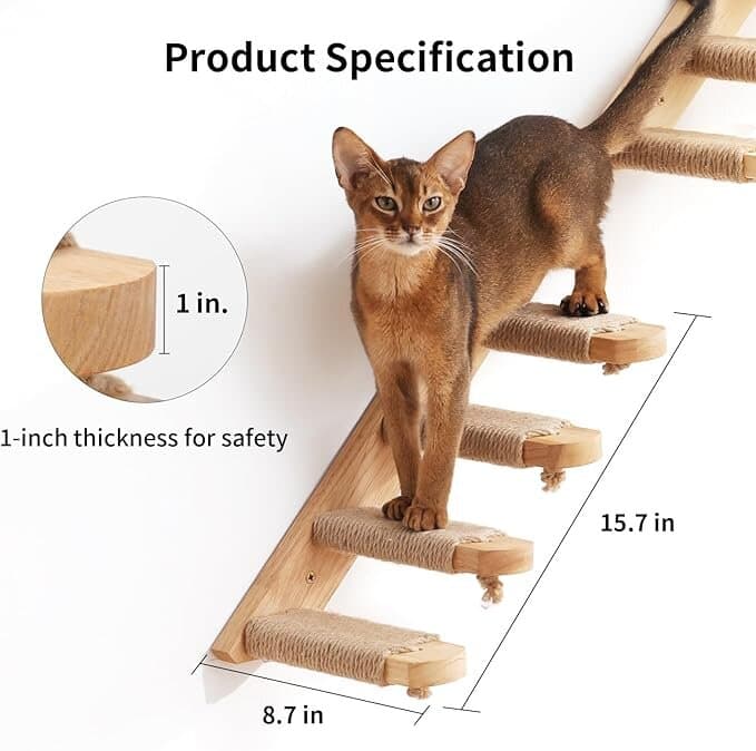 Cat Climbing Shelf 4