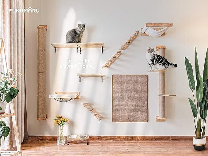 Cat Climbing Shelf 7