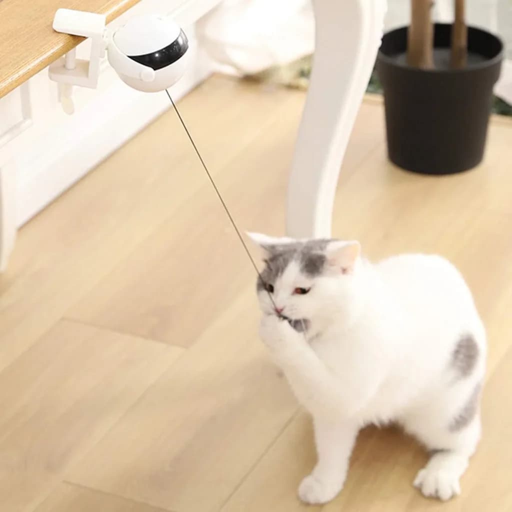 Interactive Cat Toy