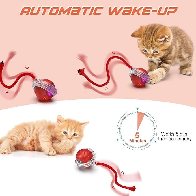 Smart Cat Toy 6