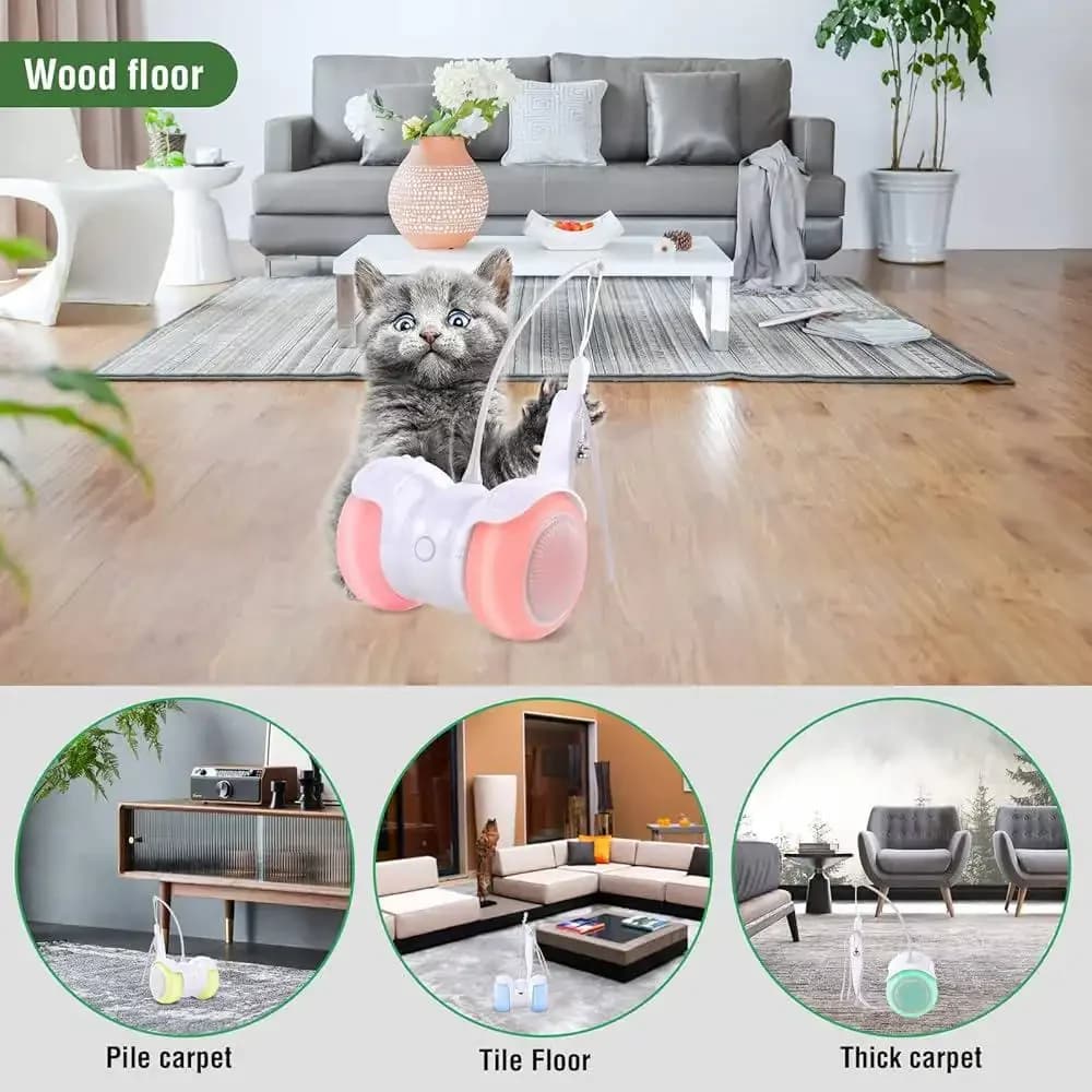 Automatic/Manual Ball Toy 5