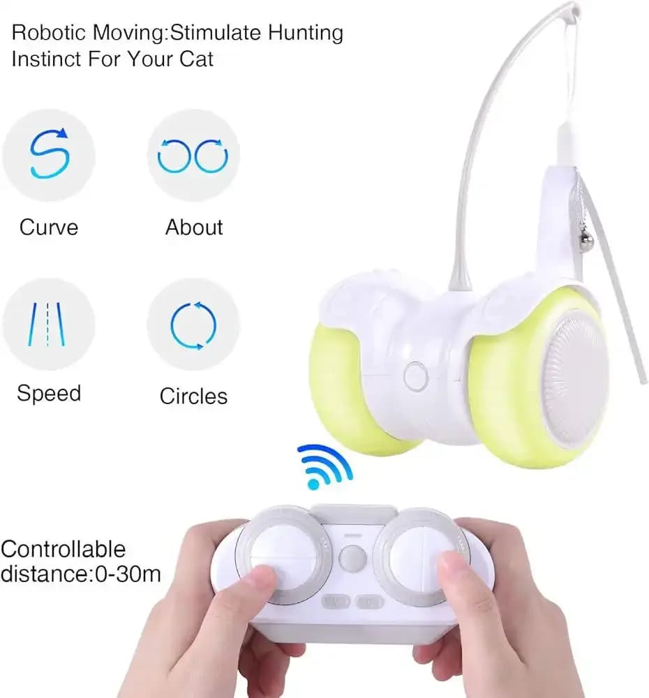 Automatic/Manual Ball Toy 3