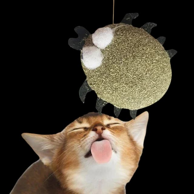 Catnip Toy