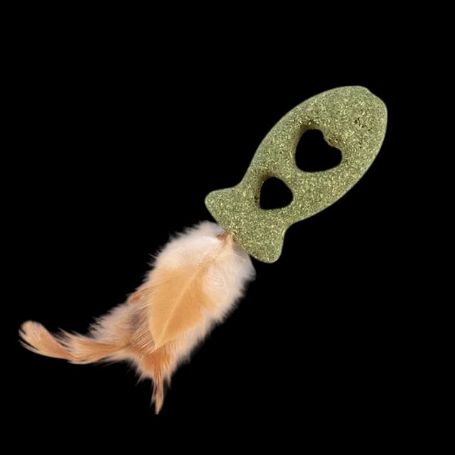 Catnip Toy