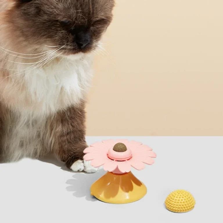 Cat Toy