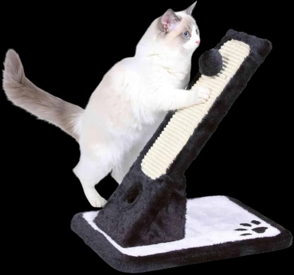 Scratching Board For Cat