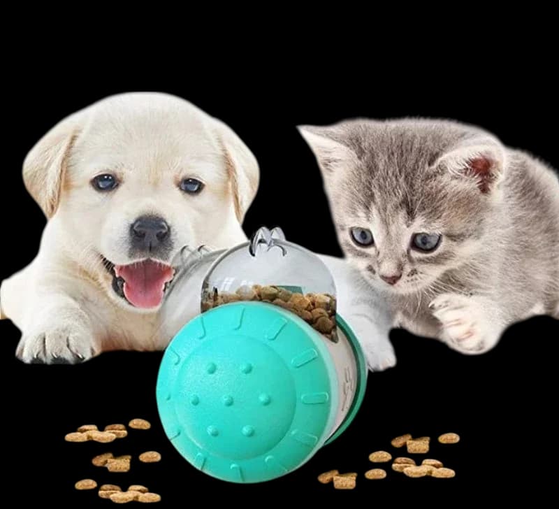 Swing Bear Food Dispensing Toy