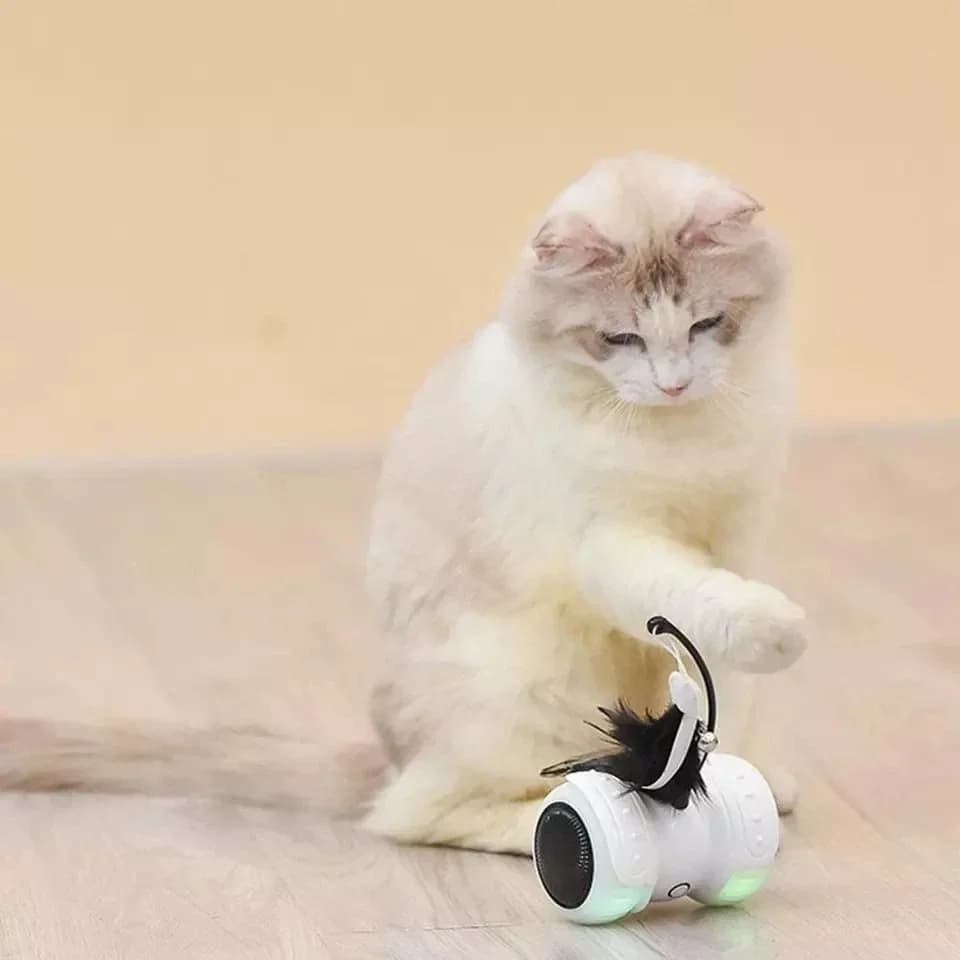 Feather Cat Toy 3