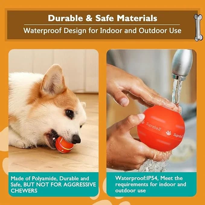 Dog Ball Toy 2