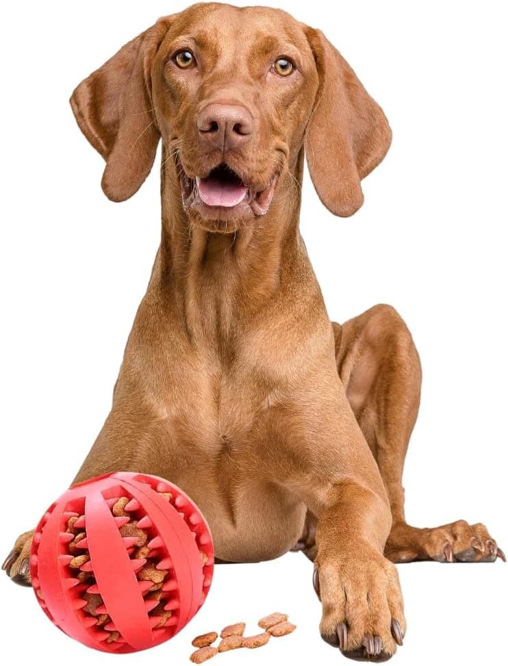 Treat Ball Toy - 6X6cm 2