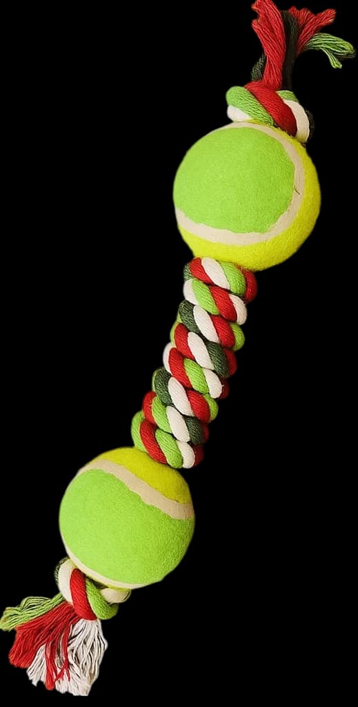 Dog Toy