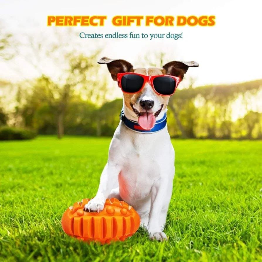 Dog Toy 4