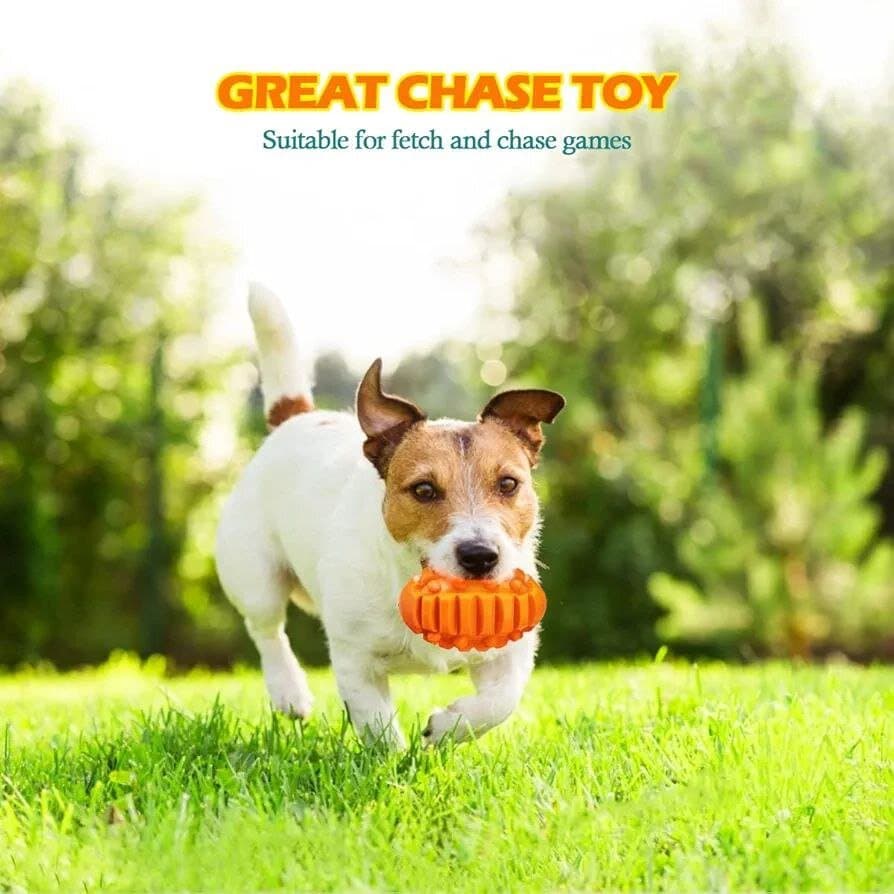 Dog Toy 5