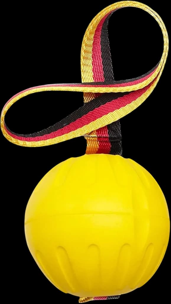 Dog toy Ball 1