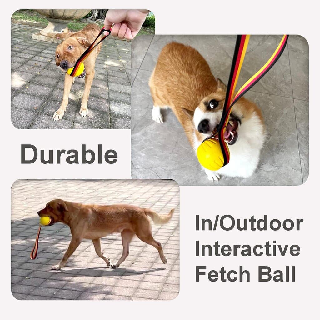 Dog toy Ball 4