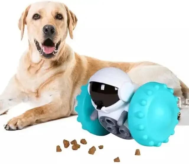 Pet Food Dispensor 2