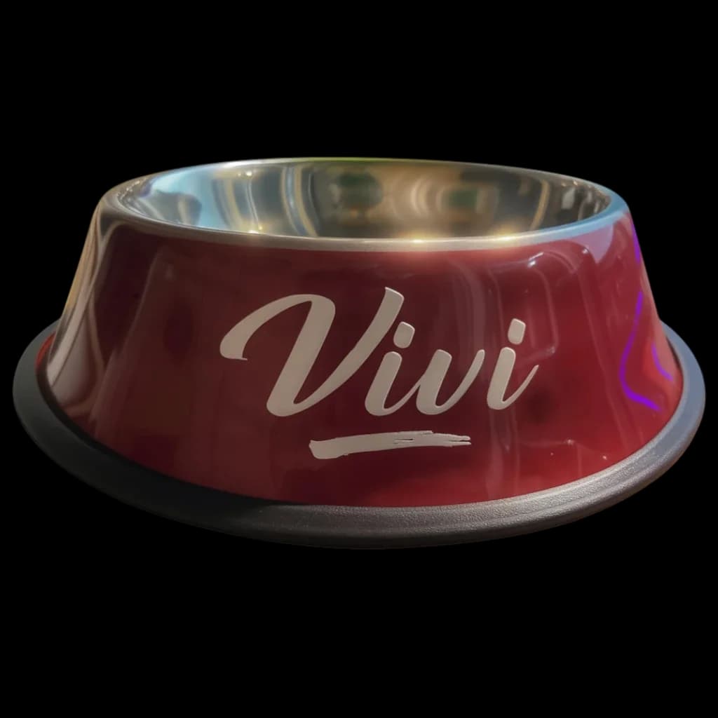 Steel Bowl 22cm - 22cm