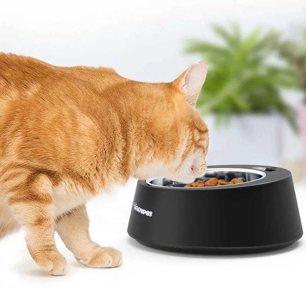Bowl with Digital Scale 2