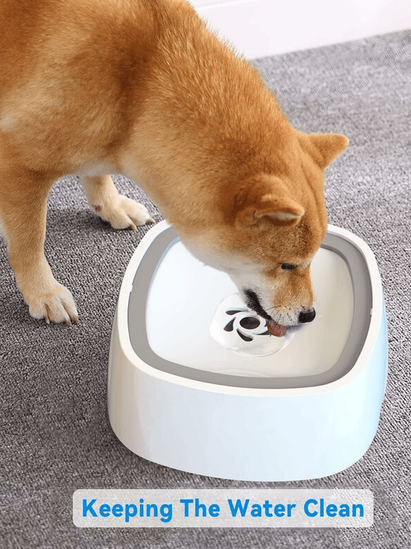 Bowl - 1.5L 4
