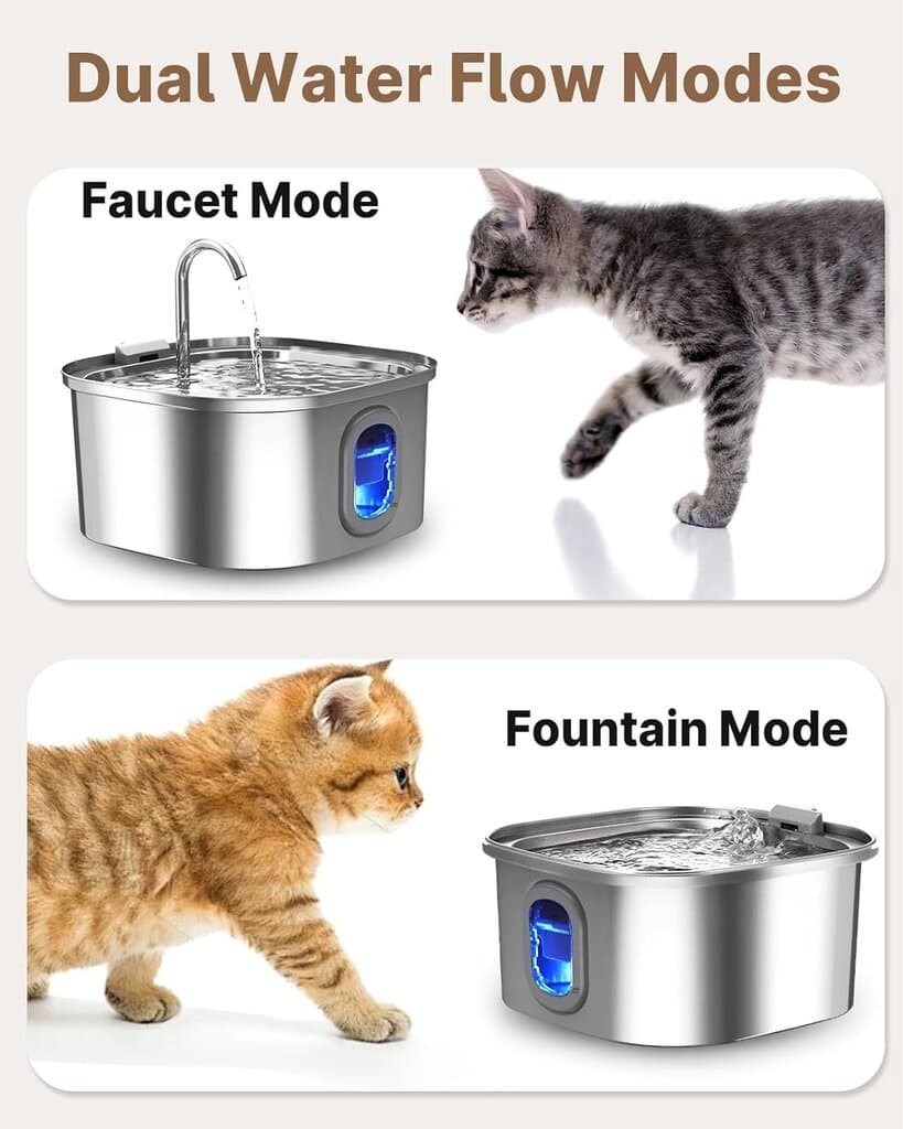 Water Fountain - 3.2L 5