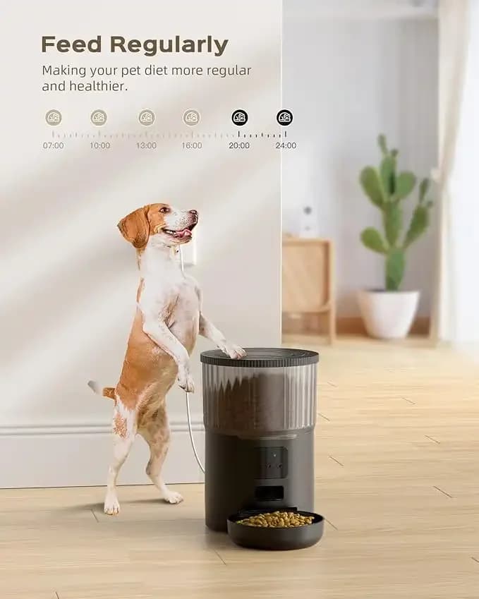 Smart Feeder - 4L 6