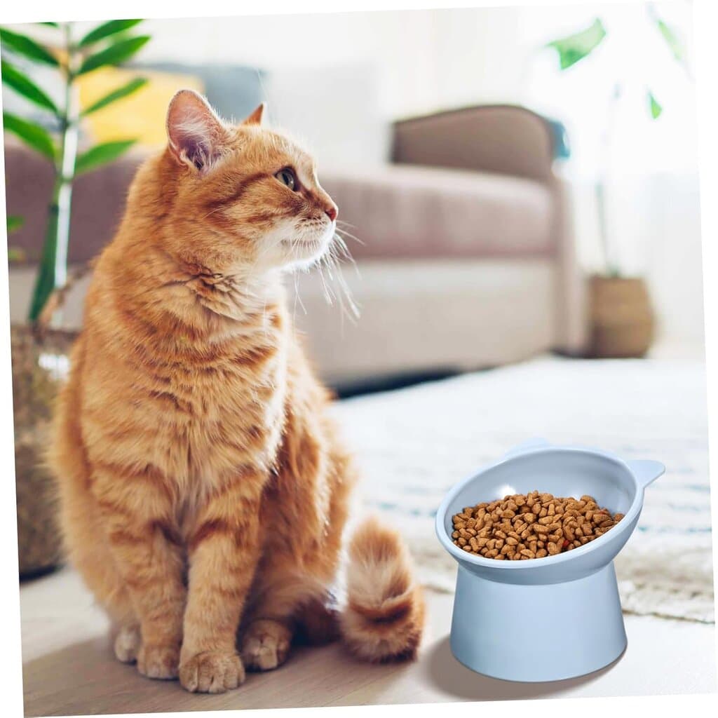 Bowl & Feeder 6