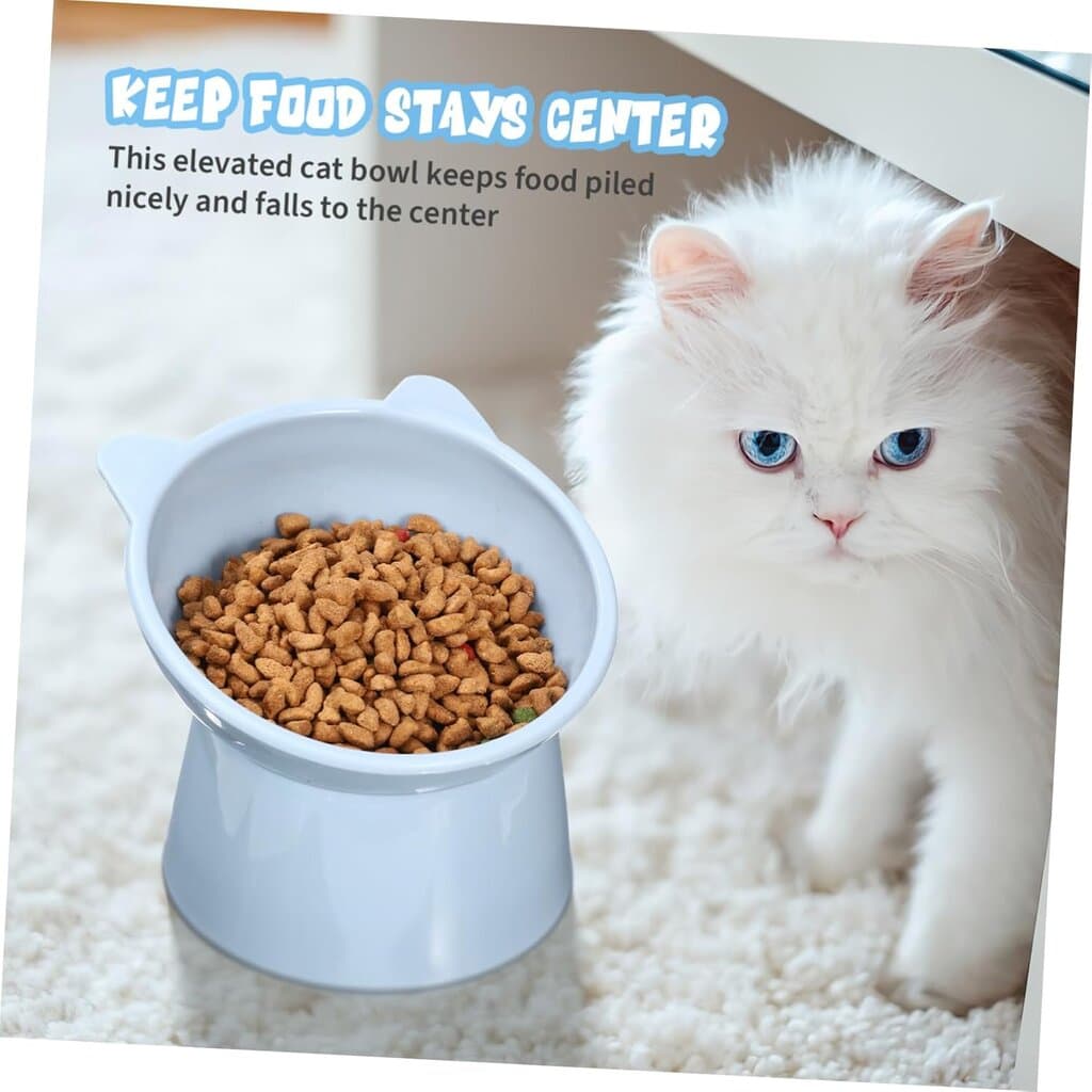 Bowl & Feeder 2