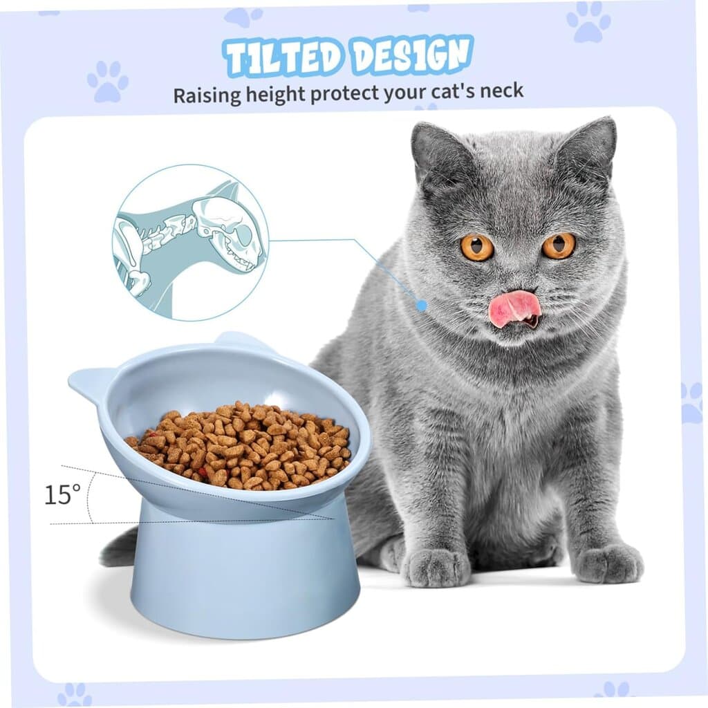 Bowl & Feeder 3