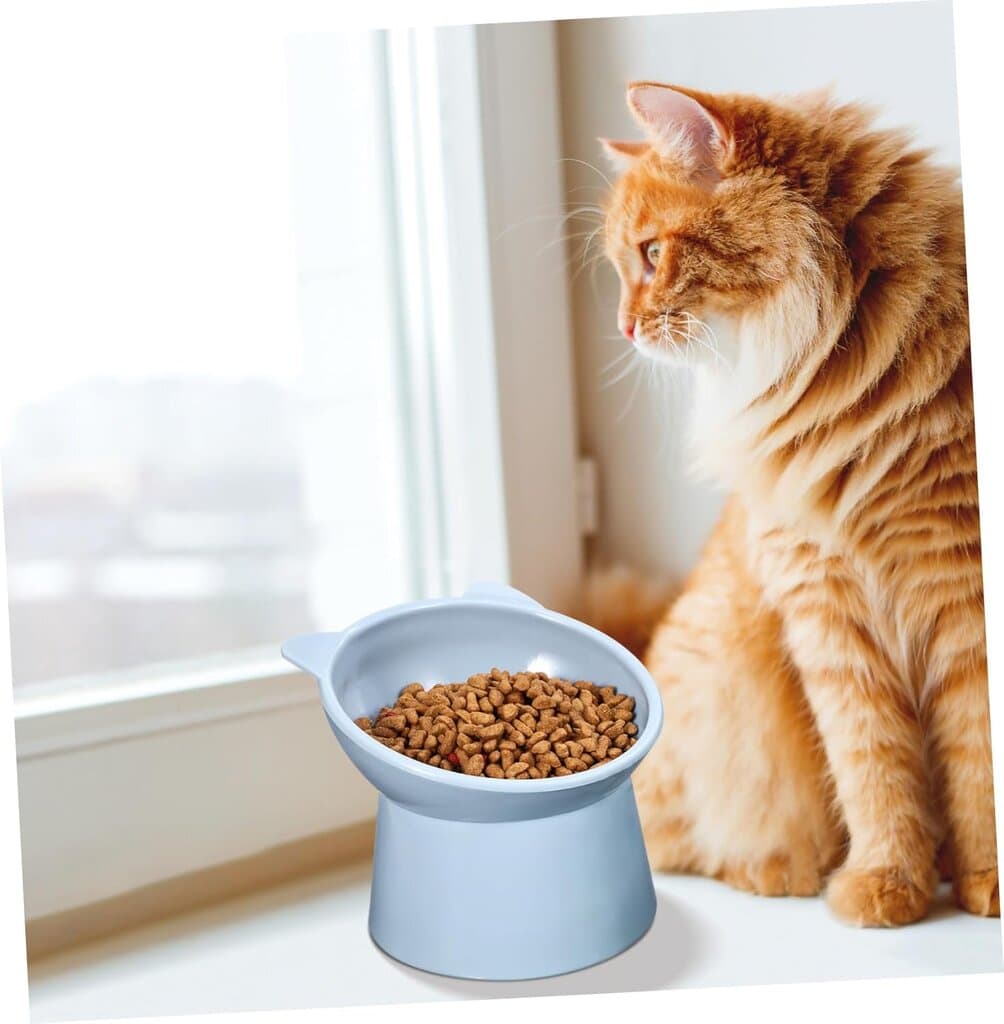 Bowl & Feeder 4