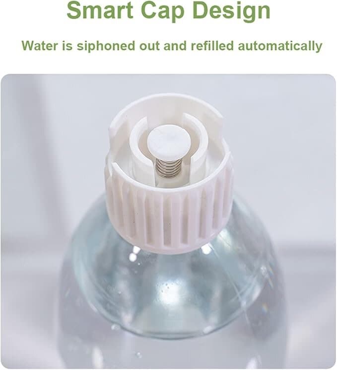 Pet Feeder 3