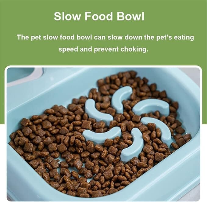 Pet Feeder 8