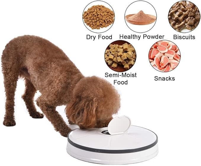 Automatic Pet Feeder 9