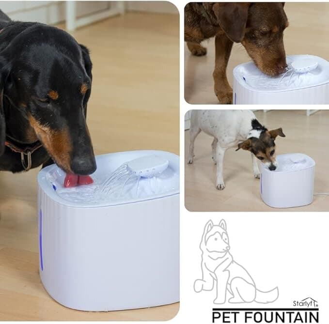 Pet Water Fountain - 3L 2