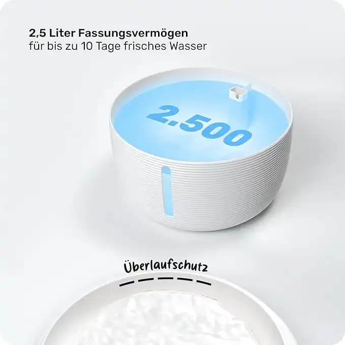 Water Fountain - 2.5L 4