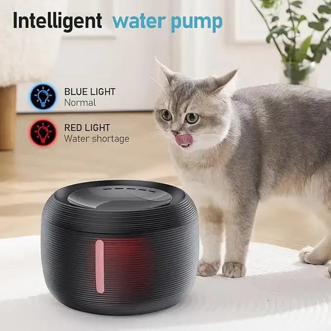 Water Fountain - 2.5L 3