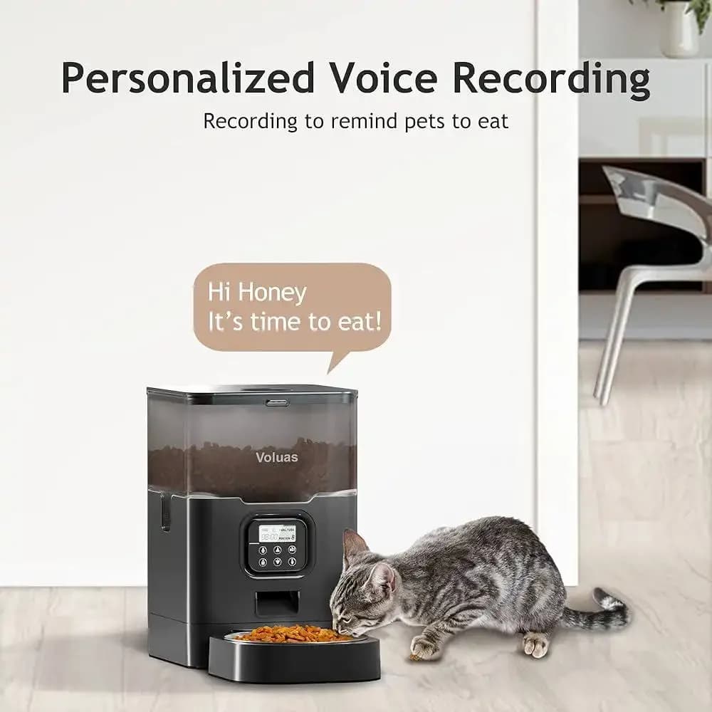 Automatic Feeder 6