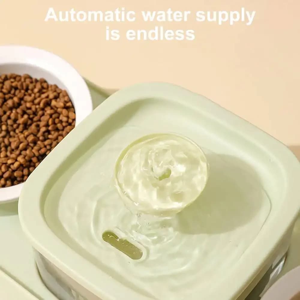 Double Food Bowl 6
