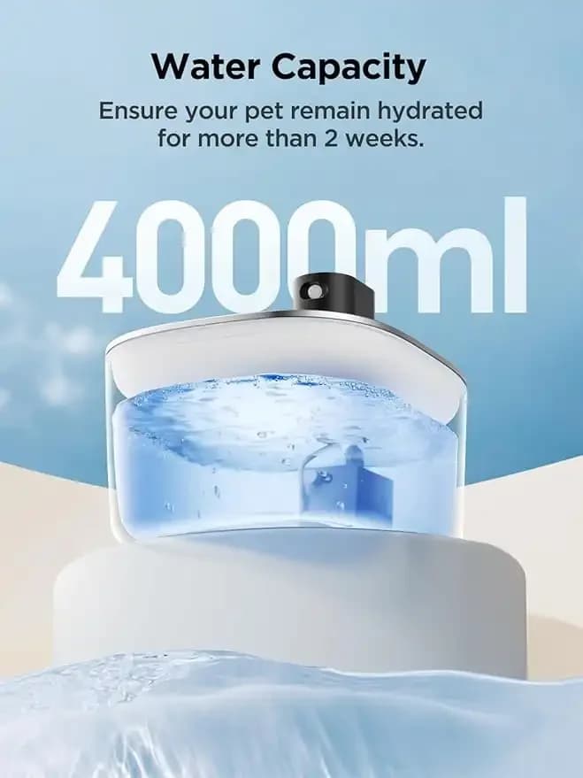 Water Fountain - 4L 3
