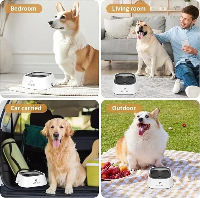 Dog Water Bowl - 1.5L 6