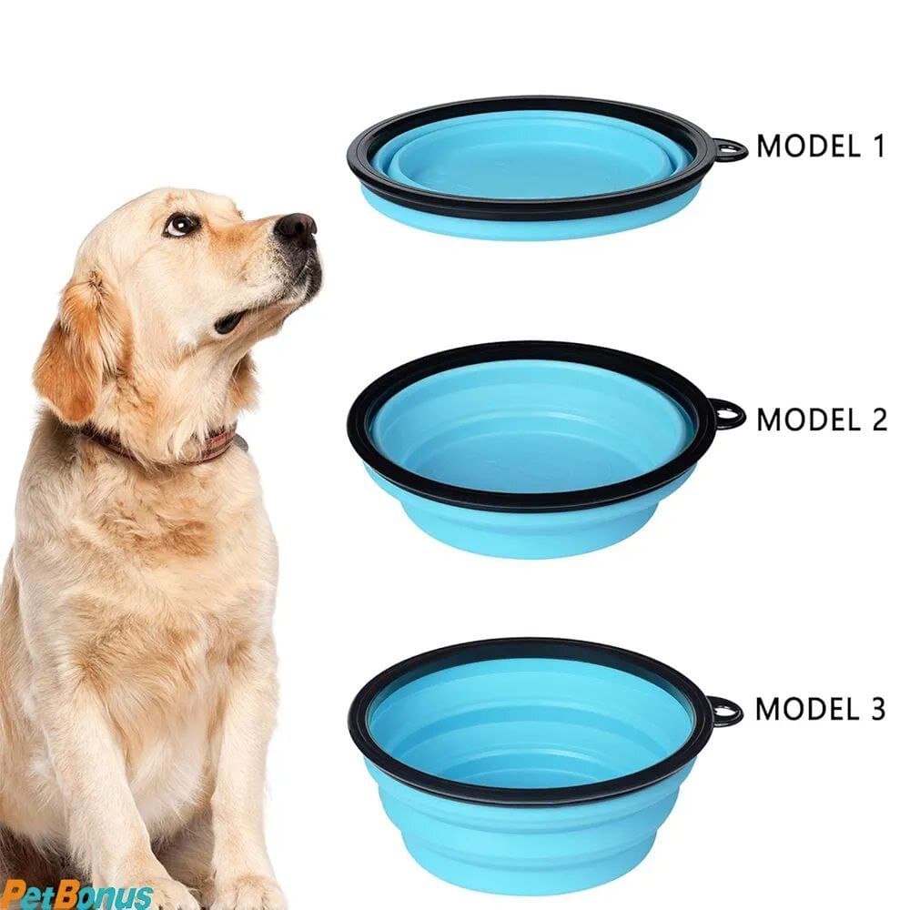 Bowl & Feeder 2